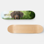 Brown Dachshund Puppy Persoonlijk Skateboard (Horizontaal)