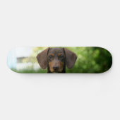 Brown Dachshund Puppy Persoonlijk Skateboard (Horizontaal)