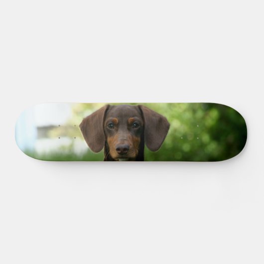 Brown Dachshund Puppy Persoonlijk Skateboard (Horizontaal)