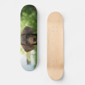 Brown Dachshund Puppy Persoonlijk Skateboard (Voorkant)