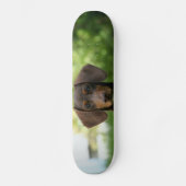 Brown Dachshund Puppy Persoonlijk Skateboard (Voorkant)