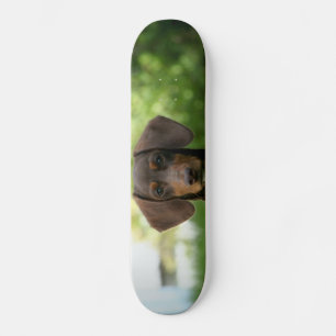 Brown Dachshund Puppy Persoonlijk Skateboard