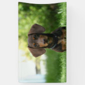 Brown Dachshund Puppy Spandoek (Verticaal)