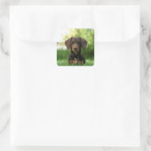 Brown Dachshund Puppy Vierkante Sticker (Tas)