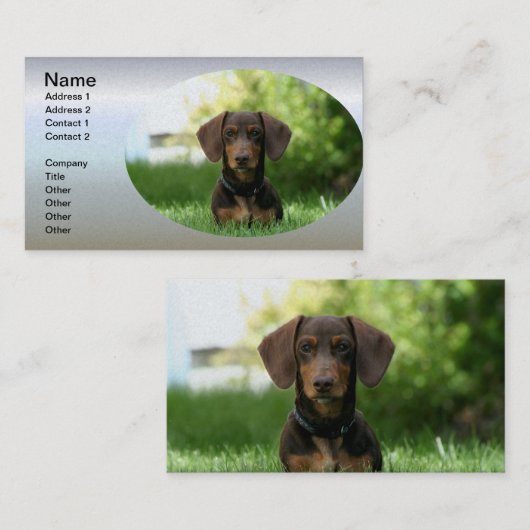 Brown Dachshund Puppy Visitekaartje (Voorkant / Achterkant)