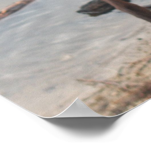 Brown, de Doberman Poster (Hoek)