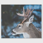 BROWN DEER IN TILT SHIFT LENS CADEAUPAPIER (Vlak)