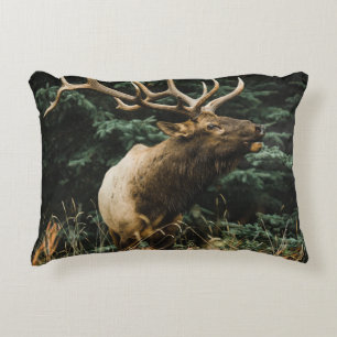 BROWN DEER OP GROENE GRAS TIJDENS DAG ACCENT KUSSEN