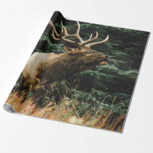 BROWN DEER OP GROENE GRAS TIJDENS DAG CADEAUPAPIER