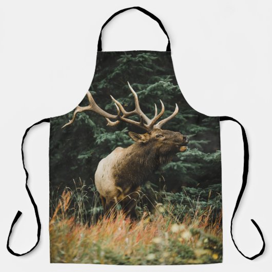 BROWN DEER OP GROENE GRAS TIJDENS DAG SCHORT (Voorkant)