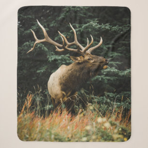 BROWN DEER OP GROENE GRAS TIJDENS DAG SHERPA DEKEN