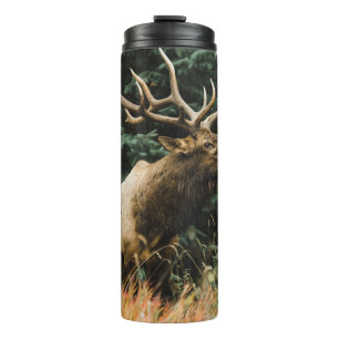 BROWN DEER OP GROENE GRAS TIJDENS DAG THERMOSBEKER