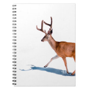 BROWN DEER OP WITTE ACHTERGROND NOTITIEBOEK
