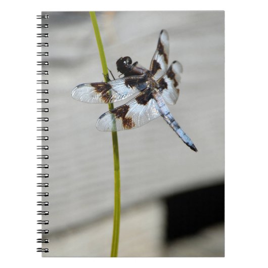 Brown Dragonfly Notitieboek Journal (Voorkant)