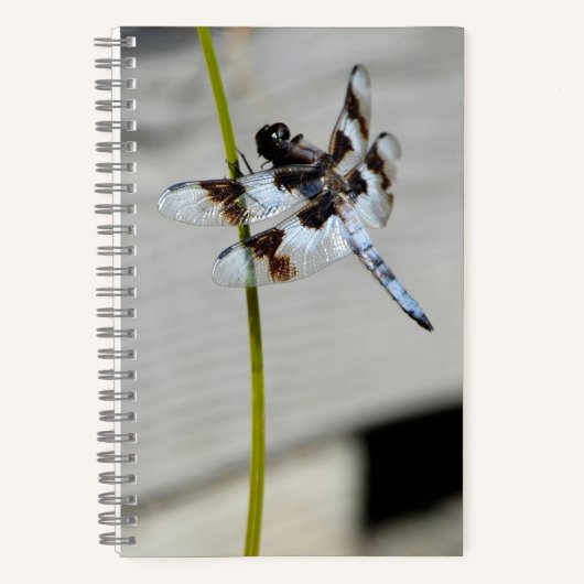 Brown Dragonfly Notitieboek Journal (Voorkant)