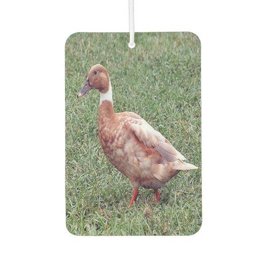 Brown Duck Air Freshener Luchtverfrisser (Voorkant)