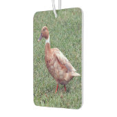 Brown Duck Air Freshener Luchtverfrisser (Links)