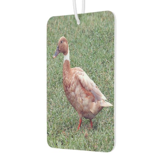 Brown Duck Air Freshener Luchtverfrisser (Links)