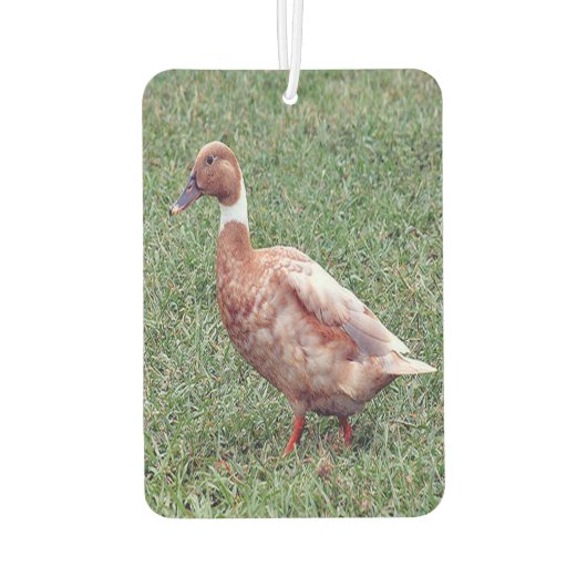 Brown Duck Air Freshener Luchtverfrisser (Achterkant)