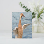 Brown Duck Foto Briefkaart (Staand voorkant)