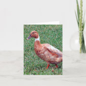 Brown Duck Photo Folded Note Card Notitiekaartje (Voorkant)