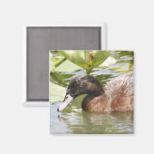 Brown Duck Photo Square Magnet (Voorkant / Achterkant)