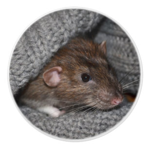 Brown Dumbo Rat Dresser Knob Keramische Knop