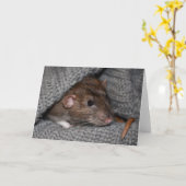 Brown Dumbo Rat Photo Wenskaart Kaart (Gele Bloem)
