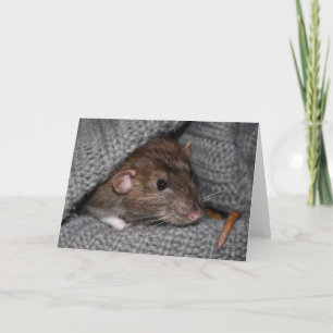 Brown Dumbo Rat Photo Wenskaart Kaart
