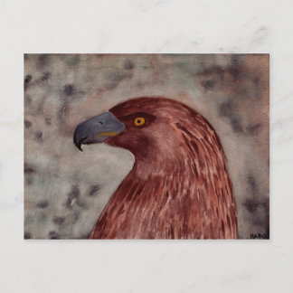 Brown Eagle Briefkaart