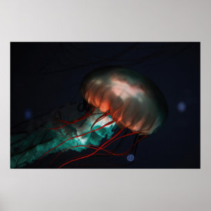 BROWN EN GREEN JELLYFISH POSTER