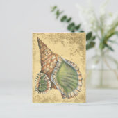 Brown en Green Seashell Briefkaart (Staand voorkant)