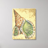 Brown en Green Seashell Canvas Afdruk (Voorkant)