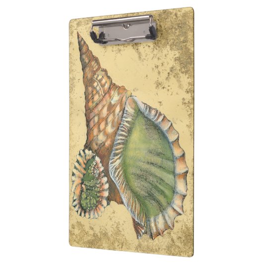 Brown en Green Seashell Klembord (Links)