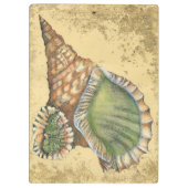 Brown en Green Seashell Klembord (Achterkant)
