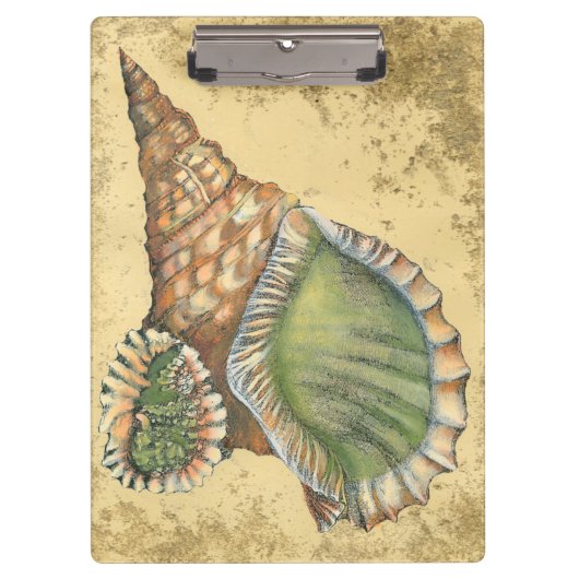 Brown en Green Seashell Klembord (Voorkant)