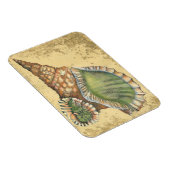 Brown en Green Seashell Magneet (Rechterzijde)