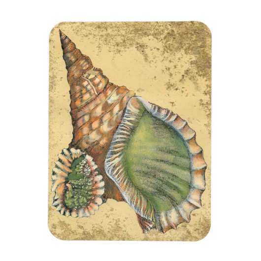 Brown en Green Seashell Magneet (Verticaal)