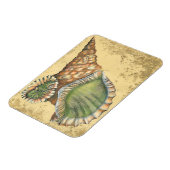 Brown en Green Seashell Magneet (Linkerzijde)