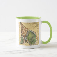 Brown en Green Seashell