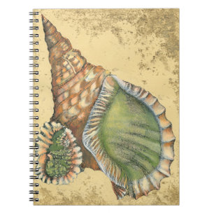 Brown en Green Seashell Notitieboek
