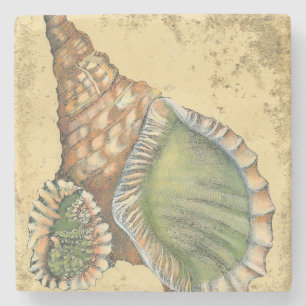 Brown en Green Seashell Stenen Onderzetter