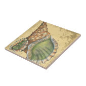 Brown en Green Seashell Tegeltje (Zijkant)