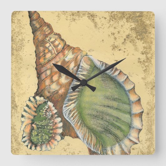 Brown en Green Seashell Vierkante Klok (Voorkant)
