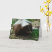 Brown en White Skunk Wenskaart Kaart (Gele Bloem)