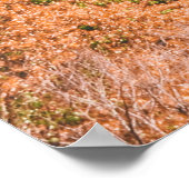 BROWN- EN WITCONCRETE BOUWEN ONDER BLUE SKY POSTER (Hoek)