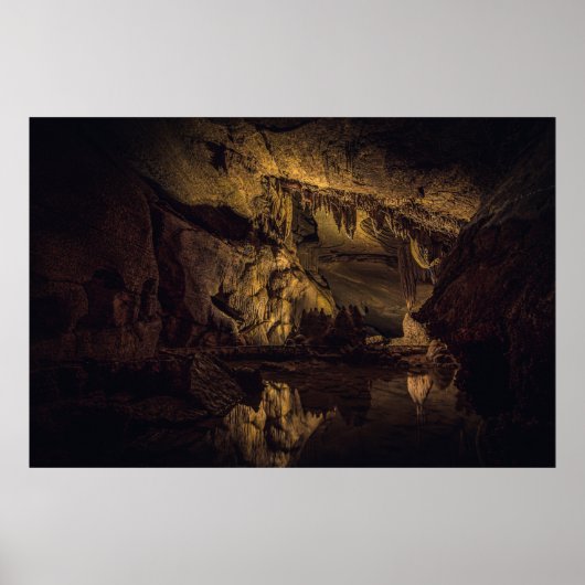 BROWN EN ZWARTE CAVE PAININTING POSTER (Voorkant)