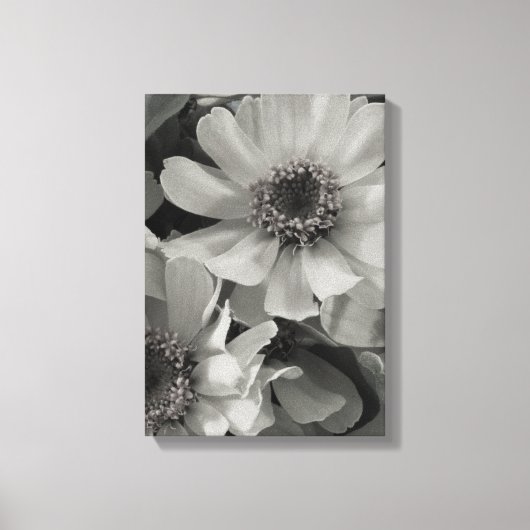 Brown Eyed Susan Flowers Canvas Afdruk (Voorkant)