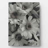 Brown Eyed Susan Flowers Fotoplaat (voorkant)