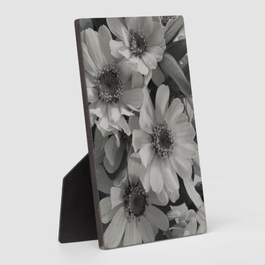 Brown Eyed Susan Flowers Fotoplaat (Zijkant)